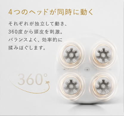 4つのヘッド構造のイメージ